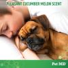 imagePet MD Body Spray for Dogs ampamp Cats Deodorizing Dog Perfume Reduces Static ampamp Eliminates Odor  LongLasting Pet Cologne Spray for Dogs  Cherry BlossomCucumber Melon