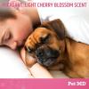 imagePet MD Body Spray for Dogs ampamp Cats Deodorizing Dog Perfume Reduces Static ampamp Eliminates Odor  LongLasting Pet Cologne Spray for Dogs  Cherry BlossomJapanese Cherry Blossom