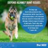 imagePet MD Glucosamine for Dogs  Dog Joint Supplement with Glucosamine Chondroitin ampamp MSM  Inflammatory Pain Relief Chews for Hip ampamp Joints  Bacon Flavored  Includes Yucca ampamp Turmeric  120 Ct