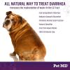 imagePet MD StoolFix  Powdered Clay Anti Diarrhea for Dogs ampamp Cats  Anti Diarrheal Treatment for Upset Stomach Relief Promotes Normal Stool  100g