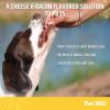 imagePet MD Wrap A Pill Peanut Butter Flavored Pill Paste for Dogs  Make a Pocket to Hide Pills and Medication for Pets  59 ServingsCheese  Bacon