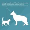 imagePet MD  Benzoyl Peroxide Medicated Shampoo for Dogs and Cats  Effective for Skin Conditions Dandruff Itch Relief Acne and Folliculitis  Citrus Scent  12 oz