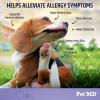 imagePet MD Allergy Aid  Puppy ampamp Dog Allergy Chews with Quercetin ampamp Pumpkin  Immune ampamp Seasonal Allergy Relief for Dogs  Skin ampamp Itch Relief for Dogs  60 ct