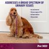 imagePet MD Bladder Support Chews ampamp Pet MD Stool Fix