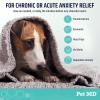 imagePet MD Calming Chews for Dogs  Separation Anxiety Relief for Dogs  Enhanced with Melatonin ampamp Ginger  Puppy ampamp Dog Calming Treats for Chronic or Acute Anxiety  60 ct