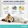 imagePet MD Calming Chews for Dogs  Separation Anxiety Relief for Dogs  Enhanced with Melatonin ampamp Ginger  Puppy ampamp Dog Calming Treats for Chronic or Acute Anxiety  60 ct