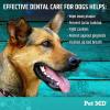 imagePet MD Dog Breath Freshener Dental Wipes for Dogs  Tartar and Plaque Remover for Teeth Cleaning  Fresh Apple ampamp Mint Scent Bad Breath Treatment for Dogs  100 Count
