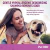 imagePet MD EFA Deodorizing Shampoo for Dogs ampamp Cats  Hypoallergenic Dog Shampoo for Sensitive Skin Dry Skin Itching and Flaking  Professional Dog Shampoo Gallon