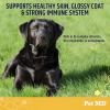 imagePet MD Garlic ampamp Brewers Yeast for Dogs ampamp Cats  Garlic and Yeast Plus Antioxidants  Brewers Yeast Tablets for Dogs ampamp Cats  Vitamin B 1 ampamp Vitamin C  500 ct