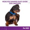 imagePet MD MicosebCX Topical Shampoo for Dogs Cats ampamp Horses with Miconazole  12 oz
