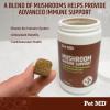 imagePet MD Mushroom Immune Support  Turkey Tail Mushroom for Dogs  Mushroom Cat Immune Support Supplement  Milk Thistle for Dogs ampamp Cats with CoQ10 for Dogs  Immunity Supplement for Dogs  120 Chews