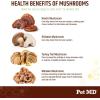 imagePet MD Mushroom Immune Support  Turkey Tail Mushroom for Dogs  Mushroom Cat Immune Support Supplement  Milk Thistle for Dogs ampamp Cats with CoQ10 for Dogs  Immunity Supplement for Dogs  120 Chews