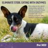 imagePet MD Stool Eating Deterrent  Prevent Dog from Eating Poop  Coprophagia Aversion with Enzymes Herbs ampamp Prebiotics for Digestive Support ampamp Fresh Breath  Stop Stool Eating Chews  60 ct