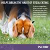 imagePet MD Stool Eating Deterrent  Prevent Dog from Eating Poop  Coprophagia Aversion with Enzymes Herbs ampamp Prebiotics for Digestive Support ampamp Fresh Breath  Stop Stool Eating Chews  60 ct