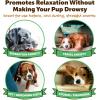 imagePet MD Veterinary Tris Ear Flush  Rileys Calming Peanut Butter for Dogs